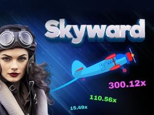 Skyward screenshot